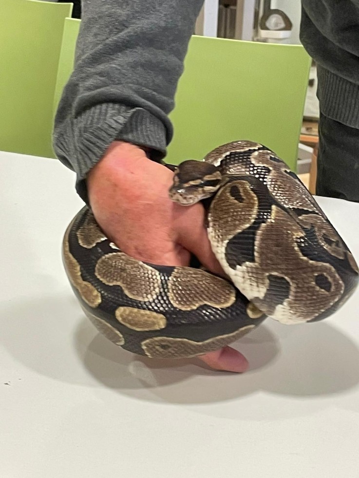 Thema 4 Bezoek Natura Docet