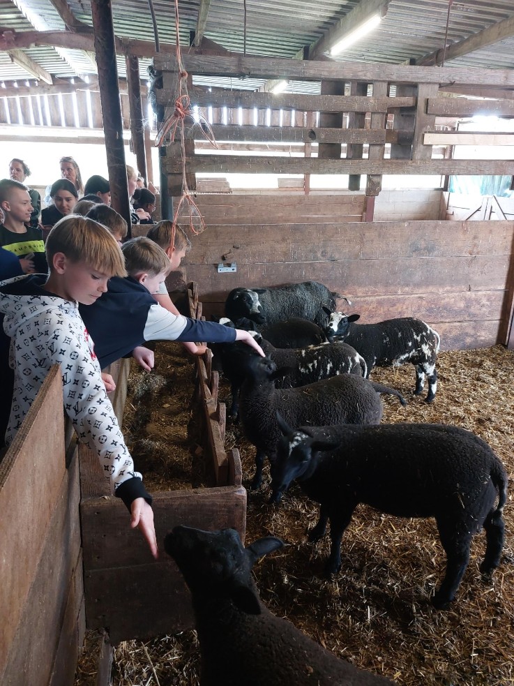 Thema: Boerderij en zuivel